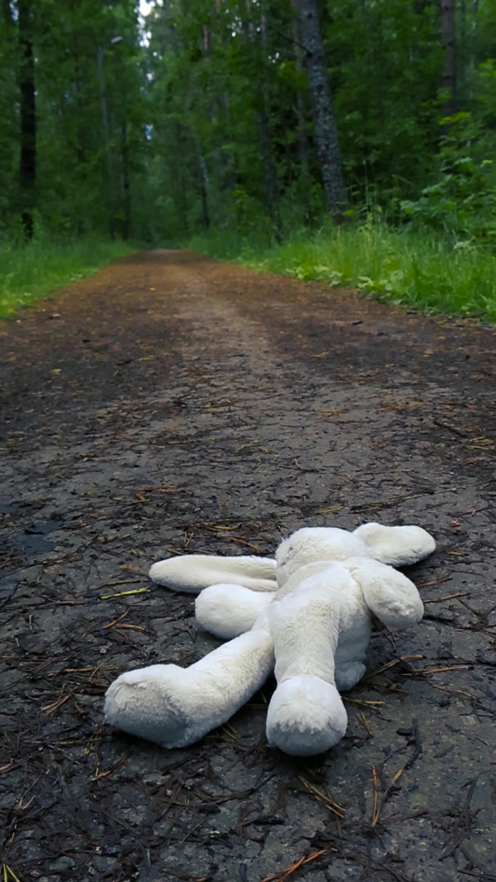 Forgotten white plush bunny lying abandoned and dirty on a muddy trail in the middle of a dense green forest, representing a poignant symbol of lost childhood, loneliness, and abandonment