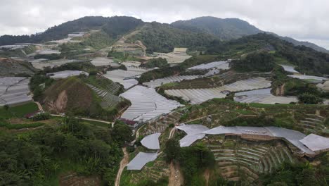 general landscape view of the brinchang district within the cameron highlands area of malaysia