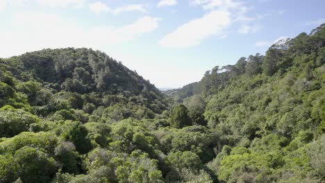 The-view-of-Zealandia-in-Wellington,-NZ,-fromm-on-top-of-a-damn