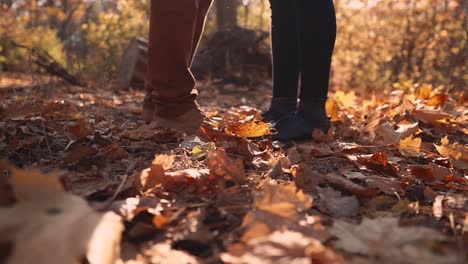 couple in autumn forest