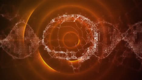 animación del cerebro digital sobre senderos y círculos naranjas