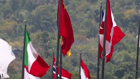 varias banderas nacionales revoloteando contra un telón de fondo natural