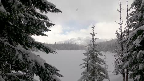 Statische-Weitwinkelaufnahme-Zwischen-Schneebedeckten-Grünen-Nadelbäumen-Auf-Zugefrorenem-See-Und-Bergkette-Im-Hintergrund