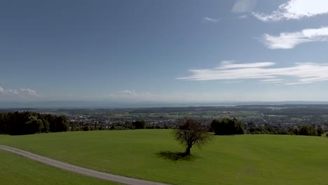 Luftaufnahme-Der-Bodenseelandschaft-An-Einem-Sonnigen-Tag-In-Der-Nähe-Von-Markdorf