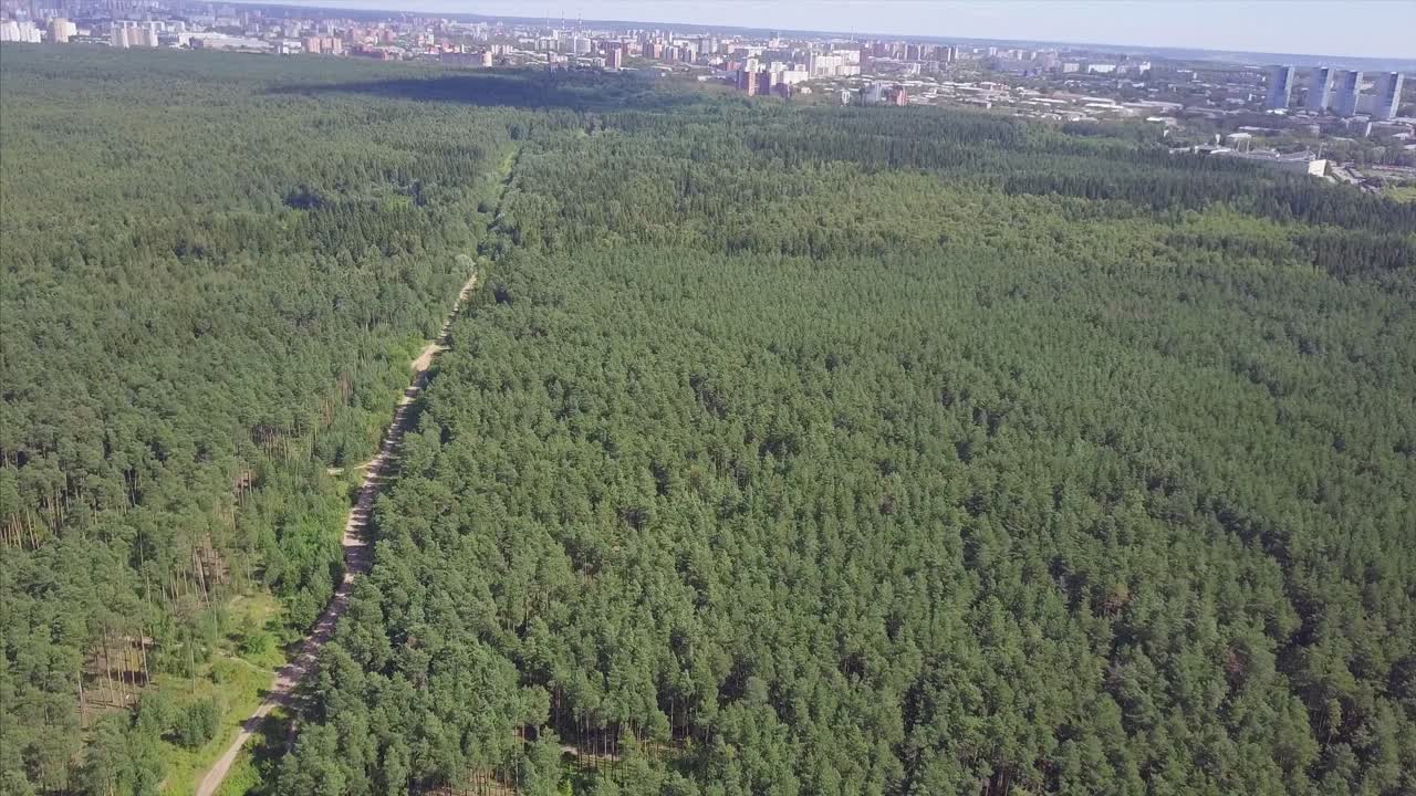 森林と都市風景の空中写真