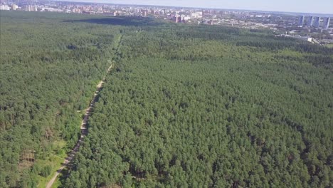 vista aérea de bosques y paisajes urbanos