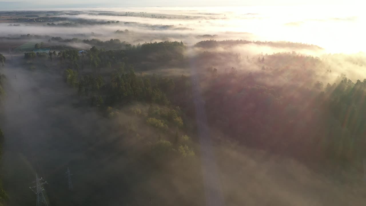 вид с беспилотного летательного аппарата на туман над лесом