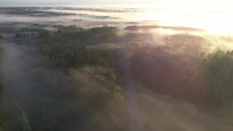 drone aerial view of fog over the forest