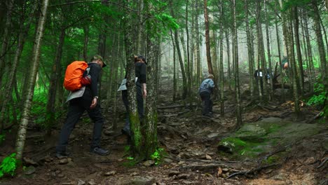 hikers on a mountain trail in a forest