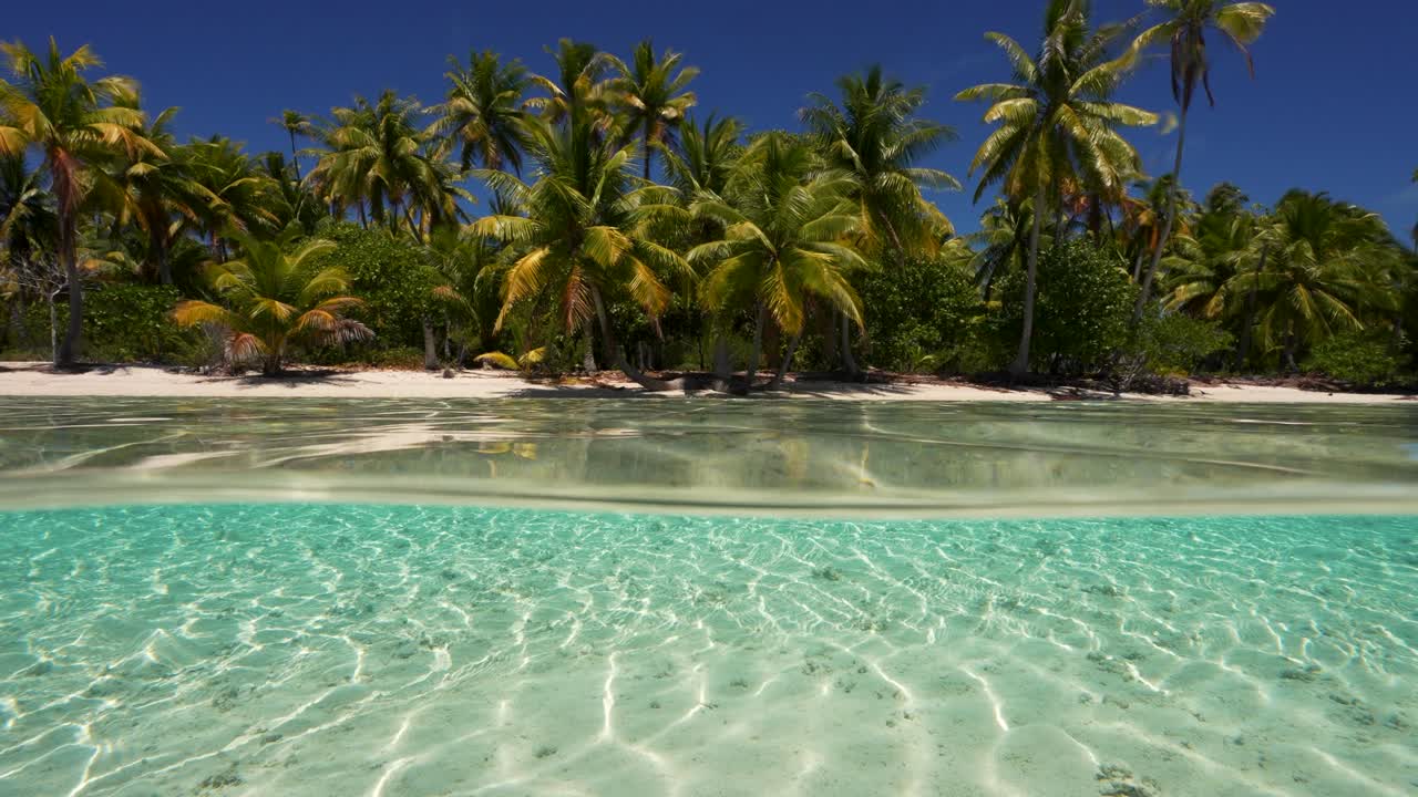 Plano dividido, metade acima, metade abaixo da água de uma praia tropical em Fakarava, segundo maior atol da Polinésia Francesa no Oceano Pacífico Sul, em câmera lenta.