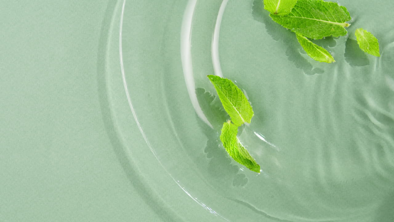 Mint leaves in water on green background. Freshness.