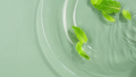 mint leaves in water on green background. freshness.