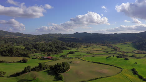 aéreo: toma panorámica de un hermoso campo verde