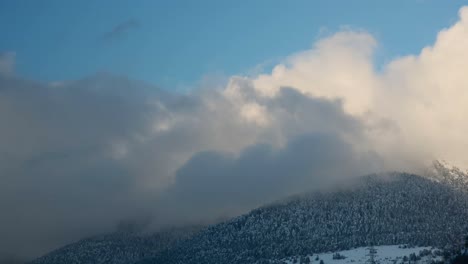 pyrenees video 14