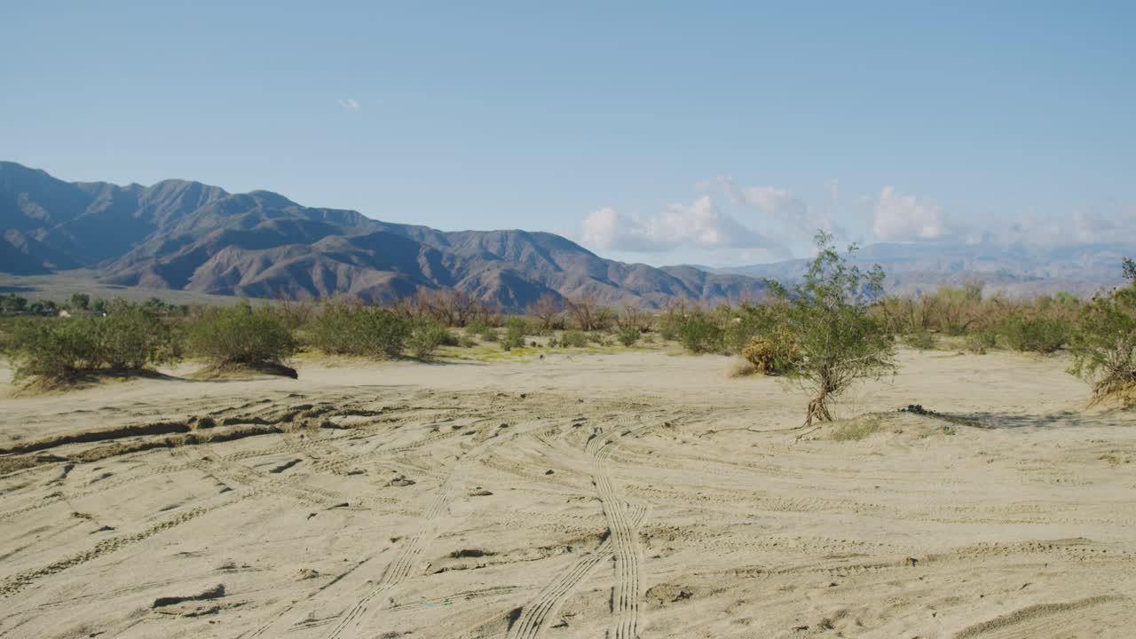 amplia fotografía de un cactus, rodeado de pistas de vehículos fuera de carretera y montañas impresionantes en un brillante día soleado