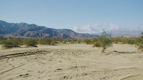 Wide-shot-of-a-cactus,-surrounded-by-off-road-vehicle-tracks-and-stunning-mountains-on-a-bright-sunny-day