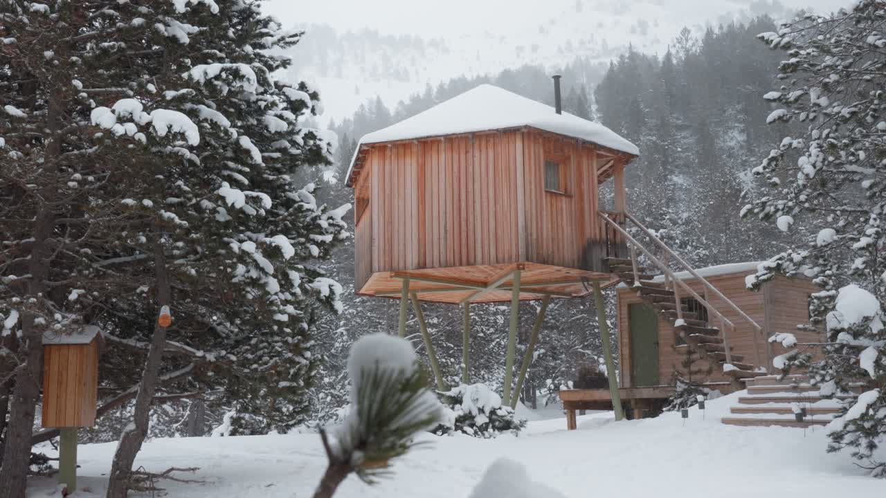 Panning shot through pine needles reveals a snowy wooden cabin on stilts, surrounded by fir trees in Andorra.