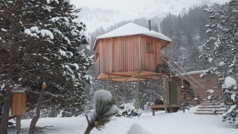 panning shot through pine needles reveals a snowy wooden cabin on stilts, surrounded by fir trees in andorra.