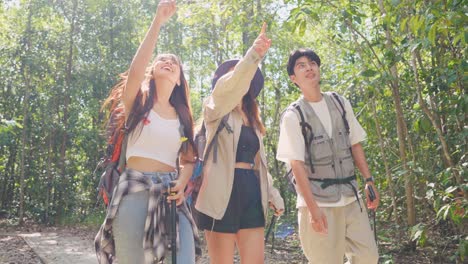 friends hiking in a forest