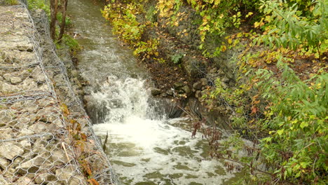 Ein-Fisch-Versucht-Stromaufwärts-Zu-Schwimmen-Und-Springt-Dabei-über-Felsen