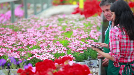 jardineros de pie en el invernadero trabajando