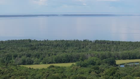 Exuberantes-árboles-Forestales-Y-Humedales-En-La-Cantera-Kinnekulle-Stenbrott-En-Suecia