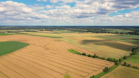 Luftaufnahme-Mit-Der-Landschaftsgeometriestruktur-Vieler-Landwirtschaftlicher-Felder-Mit-Verschiedenen-Pflanzen-Wie-Raps-In-Der-Blütezeit-Und-Grünem-Weizen