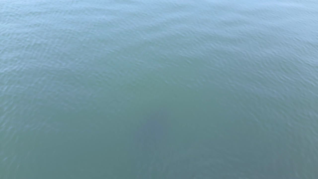 toma estática de la superficie del agua del lago en calma