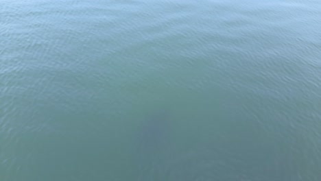 static shot of calm lake water surface