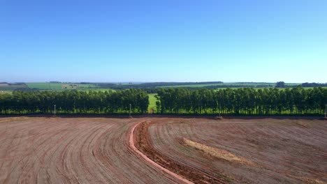 Tierras-Forestales-Despejadas-Para-El-Arado-Agrícola-Y-El-Cultivo-En-Brasil---Vista-Aérea