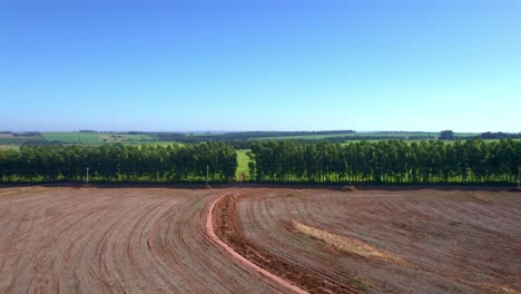 cleared forest land for the farm plow and cultivation in brazil - aerial view