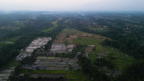 Ubud-Al-Anochecer