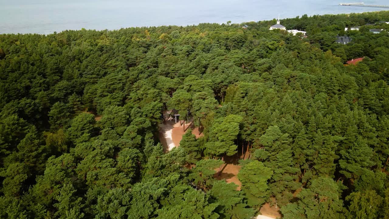 toma aérea de un pintoresco bosque de pinos verdes cerca del mar báltico desde arriba en palanga, lituania en 4k