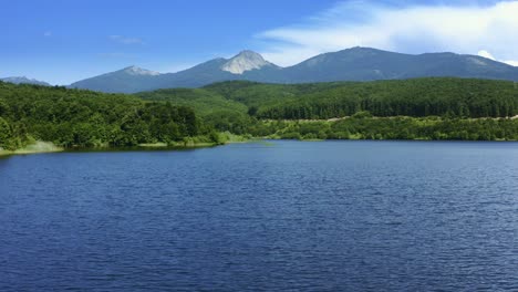 aerial view of blue lake surrounded by forest