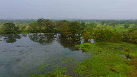 aerial semi orbit view showing swampy terrain and lush forest partially submerged by water