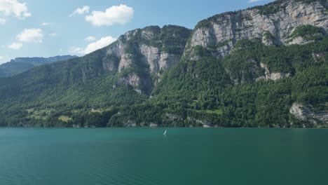 majestuosos alpes suizos montañas rocosas cubiertas de exuberante vegetación verde