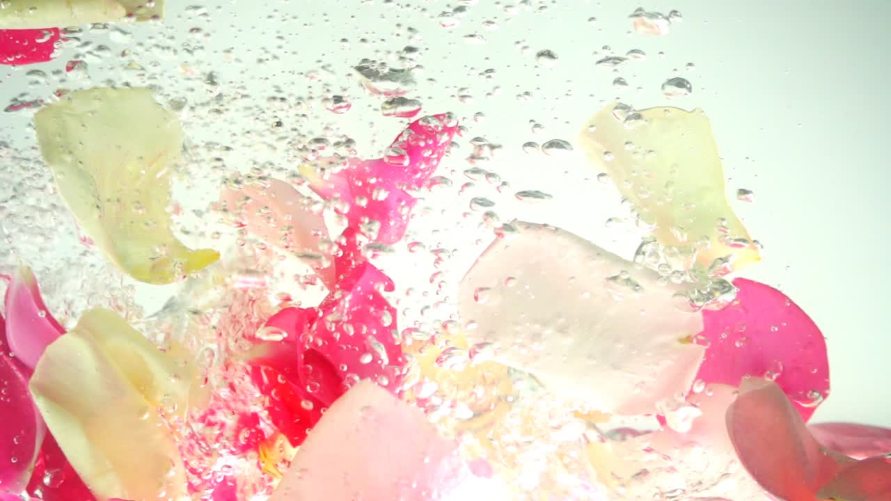 Petali di rose cadono nell'acqua. Sfondo. Movimento rallentato.