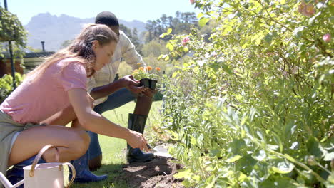 gardening together, diverse couple planting flowers in garden on sunny day, copy space