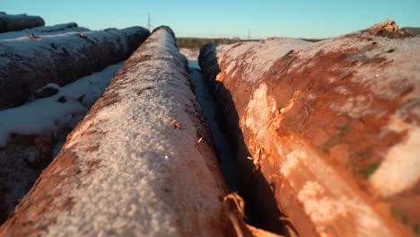 madera apilada contra el cielo azul en invierno