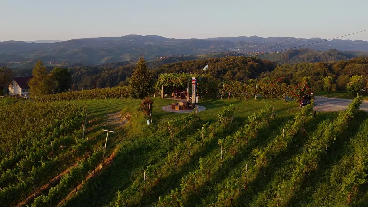 tavola nel vigneto styria austria