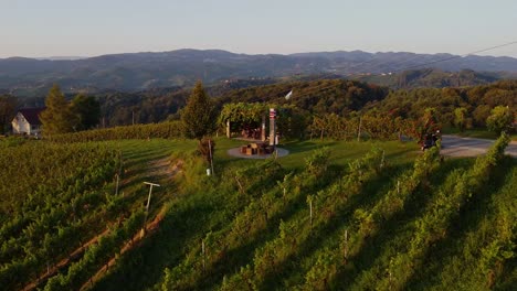 table in the wineyard styria austria