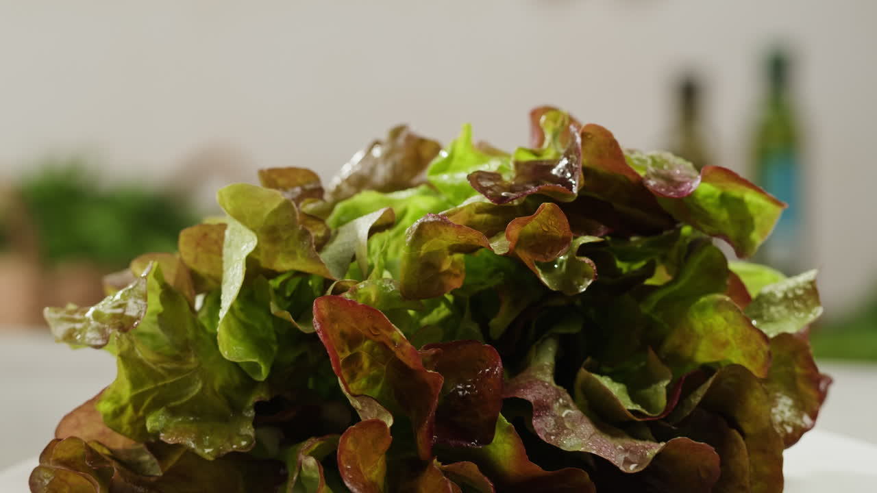 Fresh salad green lettuce leaves on white background close up macro, vegan food.