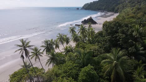 beautiful static drone shot of the jungle and beach of playa playitas on the western shores of the pacific ocean and costa rica