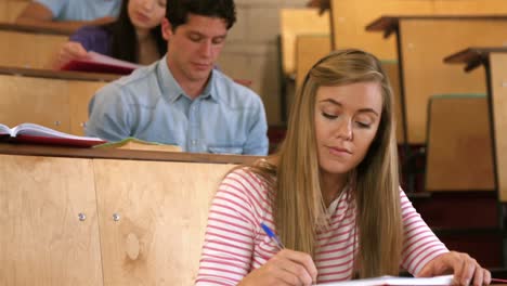 concentrated students during lesson