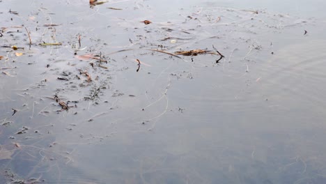 Regentropfen-Erzeugen-Wellen-Auf-Dem-Wasser