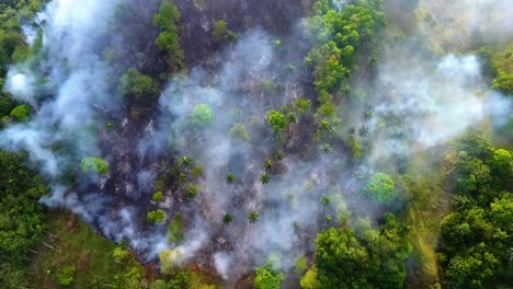 vista aérea de los incendios forestales, conflagración humeante bosques tropicales de queensland, día soleado, en australia - subiendo, de arriba hacia abajo, disparo de drones