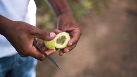 Corte-Nativo-Jugoso-Maracuia-Verde-Exótico-Con-Cuchillo-En-La-Selva-De-Zanzíbar