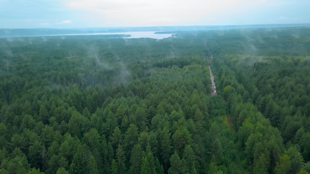 강을 볼 수 있는 안개 숲 풍경