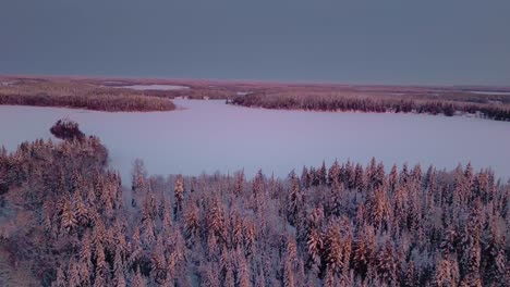 cgi scene of christmas morning in a forest, with snow gently covering pine trees and golden winter light streaming through the branches, creating a peaceful holiday atmosphere.