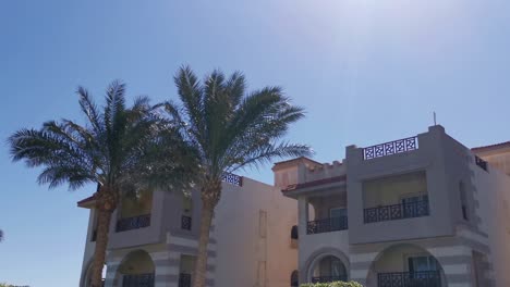 palm-trees-on-a-hotel-background